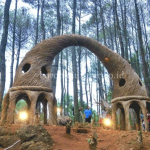 hutan pinus pengger