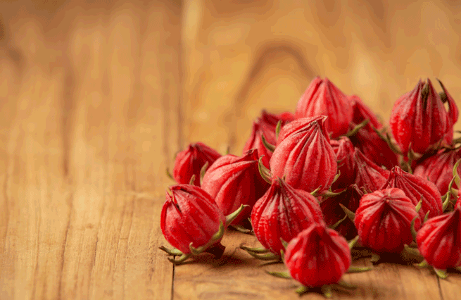 Manfaat bunga rosella