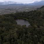 Danau Belibis