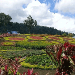 Hesti's Garden Jambi