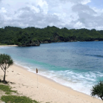 Pantai Srau