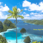 Wisata Raja Ampat