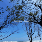 Pantai Cemara Cidaun