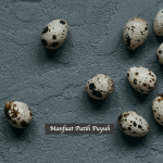 Manfaat Telur Puyuh