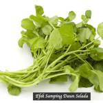 Efek samping daun selada