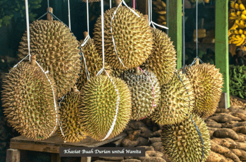 Khasiat Buah Durian untuk Wanita