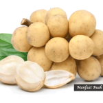Manfaat Buah Duku