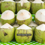 Manfaat Daging Kelapa Muda