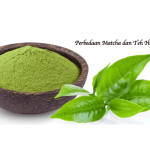 Perbedaan Matcha dan Teh Hijau