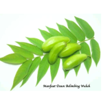 Manfaat Daun Belimbing Wuluh