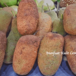 Manfaat Kulit Cempedak