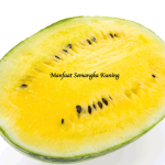 Manfaat Semangka Kuning