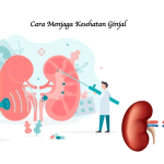 Cara Menjaga Kesehatan Ginjal