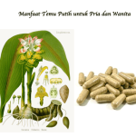 Manfaat Temu Putih untuk Pria