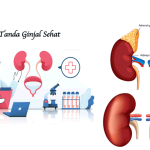 Tanda Ginjal Sehat