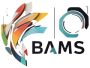 Bams