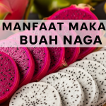 Buah Naga