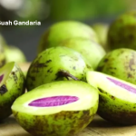 Manfaat Buah Gandaria