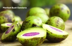 Manfaat Buah Gandaria