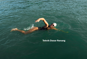 Teknik Dasar Renang