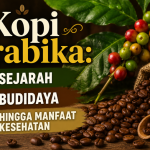 Kopi Arabika
