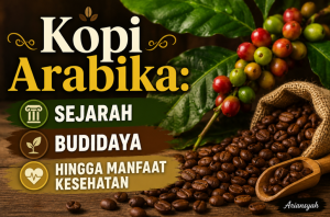 Kopi Arabika