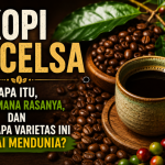 Kopi Excelsa