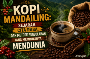 Kopi Mandailing