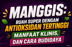 Manggis