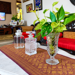 Cara Menanam Sirih Gading