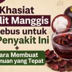Khasiat Kulit Manggis Direbus