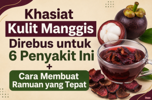 Khasiat Kulit Manggis Direbus