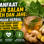 Manfaat Daun Salam Sereh dan Jahe