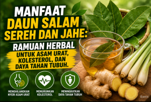 Manfaat Daun Salam Sereh dan Jahe
