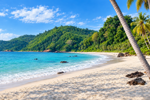 Pantai Arang